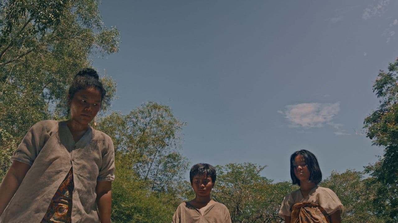 Roh palette background